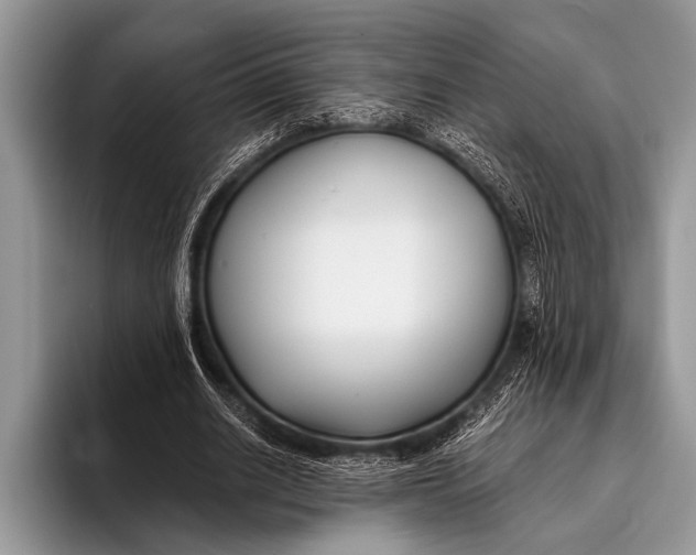 X0000096200630200802081541