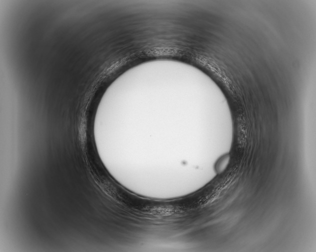 X0000096200631200802081541