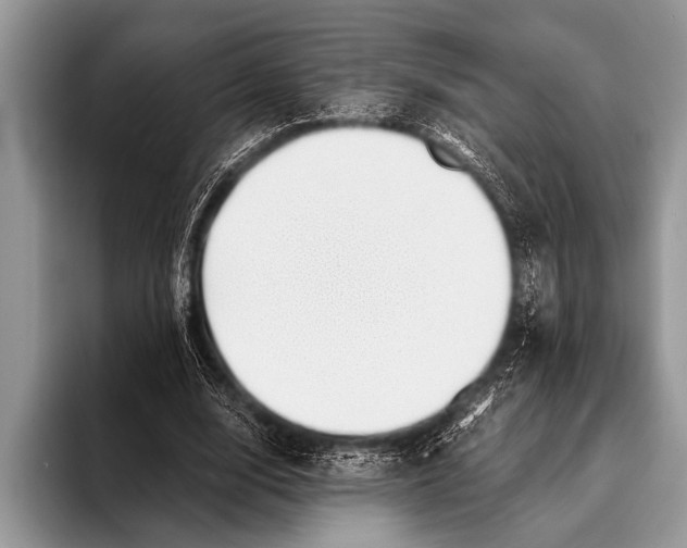 X0000096200632200802081541