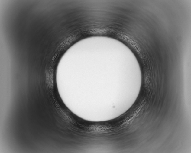 X0000096200633200802081541