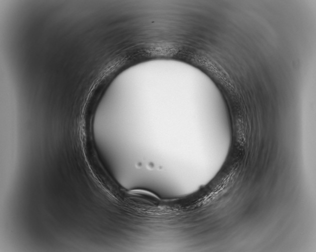 X0000096200634200802081541