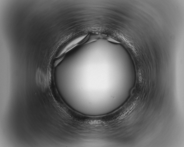 X0000096200637200802081541