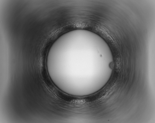 X0000096200639200802081541