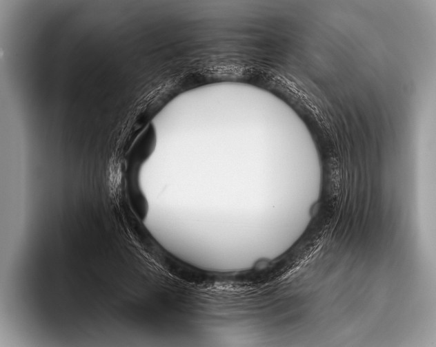 X0000096200641200802081541