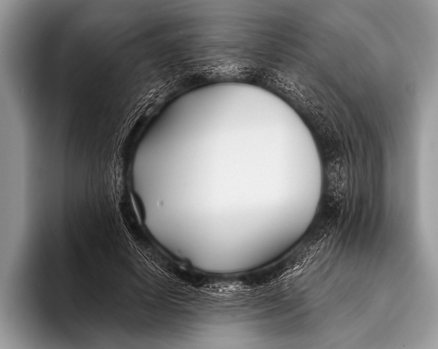 X0000096200642200802081541