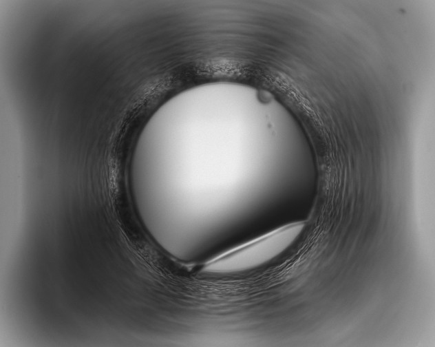 X0000096200643200802081541