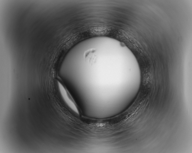 X0000096200647200802081541