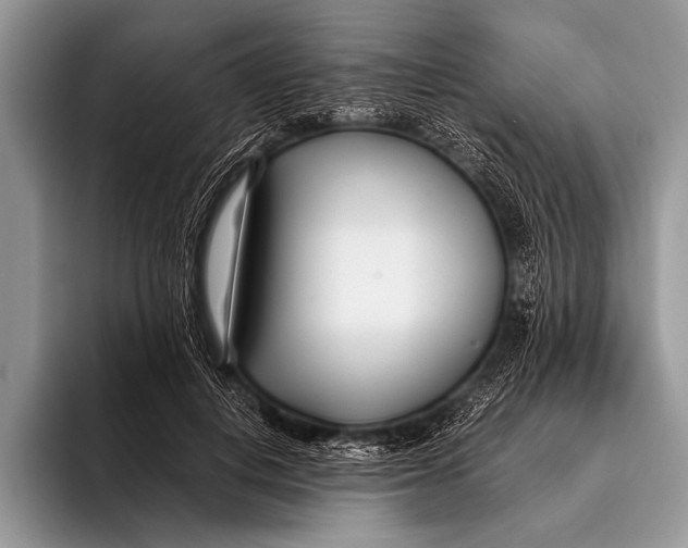 X0000096200648200802081541