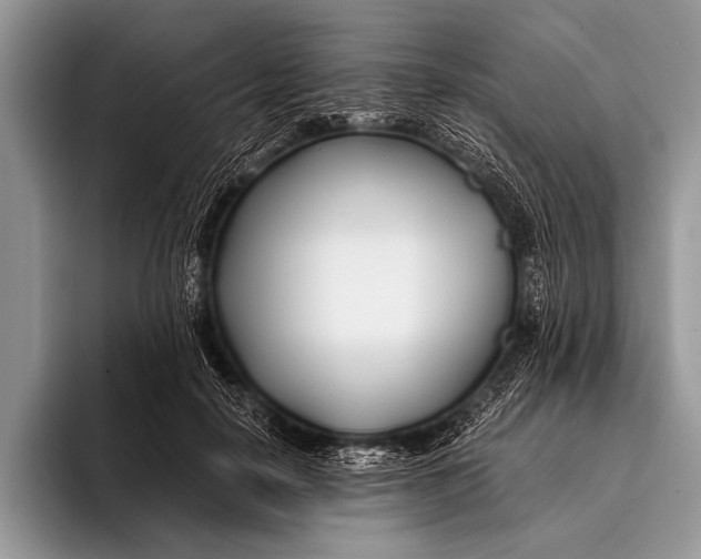 X0000096200650200802081541