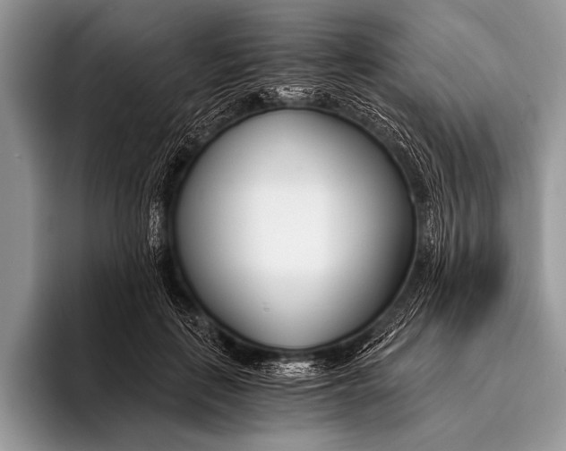 X0000096200651200802081541