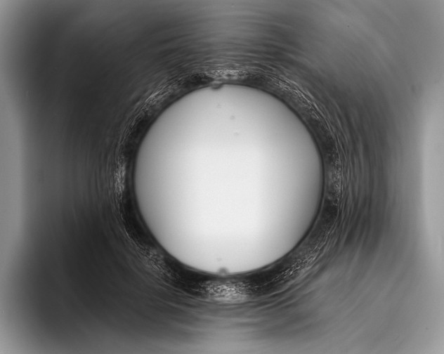 X0000096200652200802081541