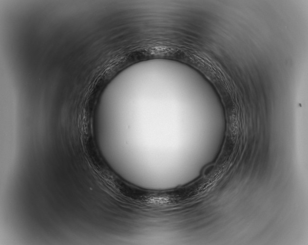 X0000096200653200802081541