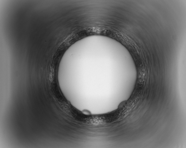 X0000096200656200802081541