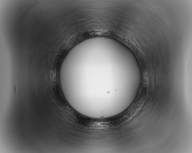 X0000096200657200802081541