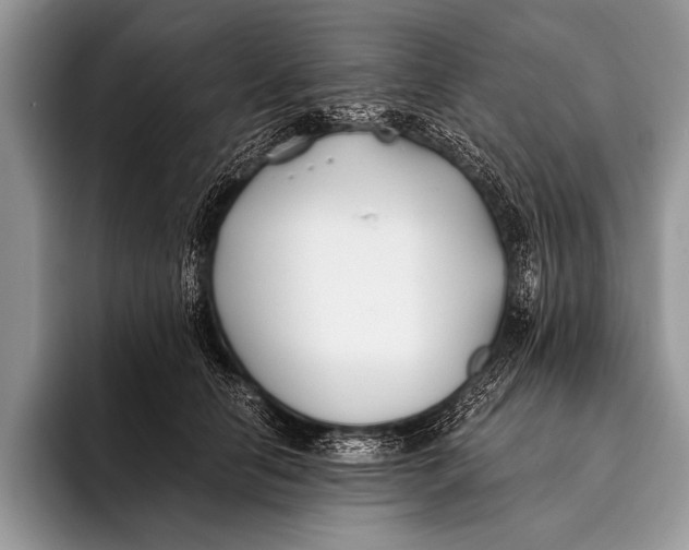 X0000096200658200802081541