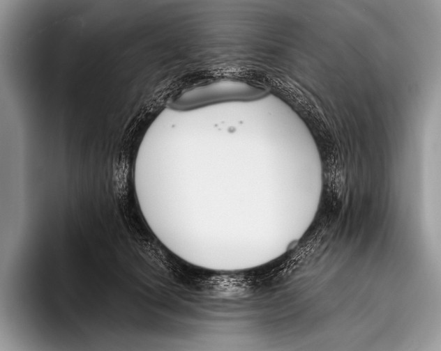 X0000096200660200802081541