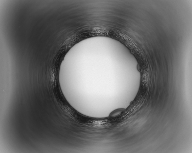 X0000096200662200802081541