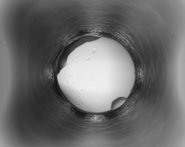 X0000096200663200802081541