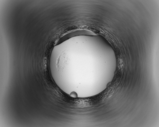 X0000096200664200802081541