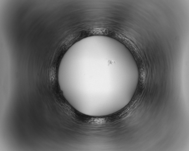 X0000096200665200802081541