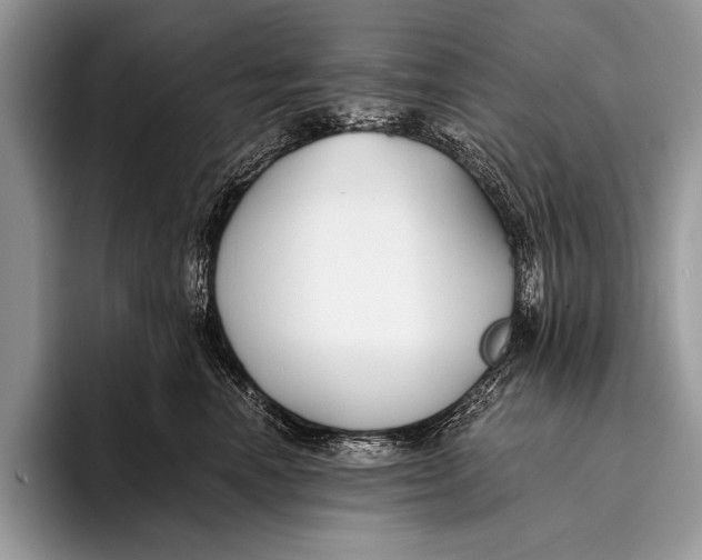 X0000096200666200802081541