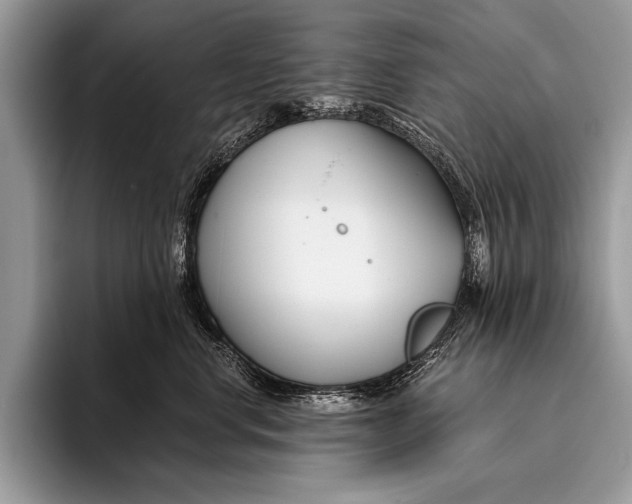 X0000096200668200802081541