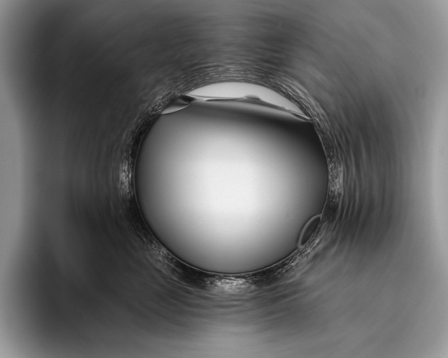 X0000096200669200802081541