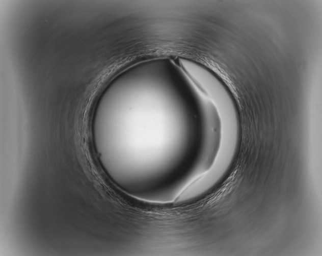 X0000096200673200802081541