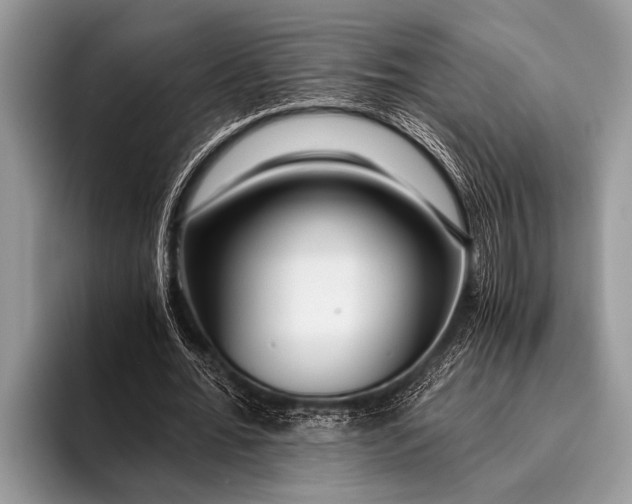 X0000096200676200802081541