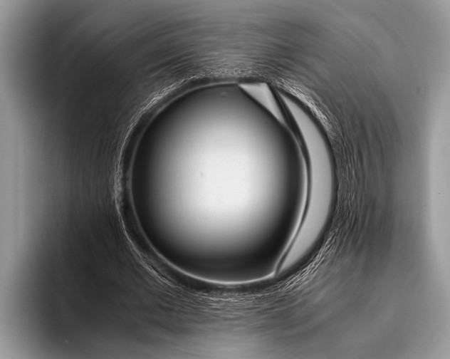 X0000096200677200802081541