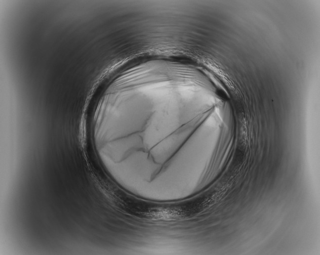 X0000096200678200802081541