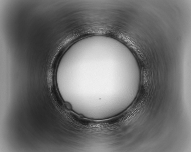 X0000096200679200802081541