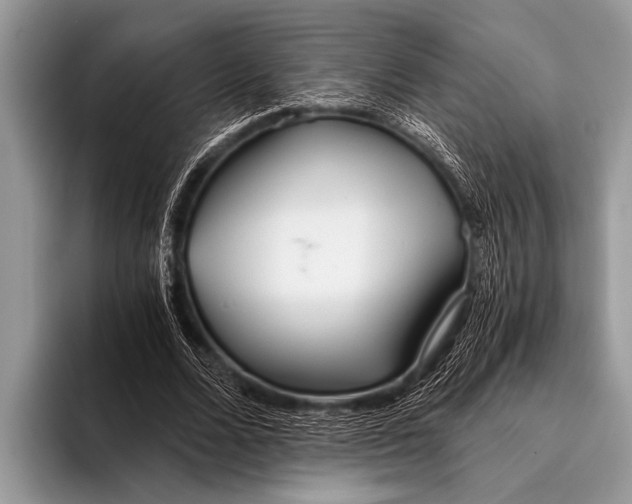 X0000096200680200802081540