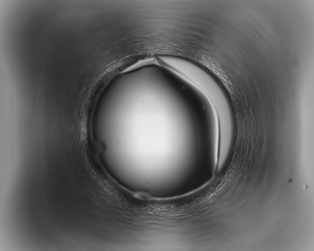 X0000096200681200802081540