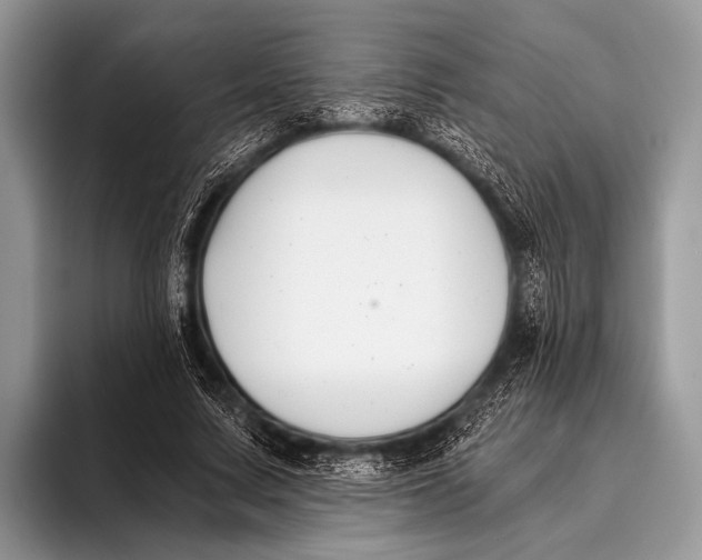 X0000096200683200802081540