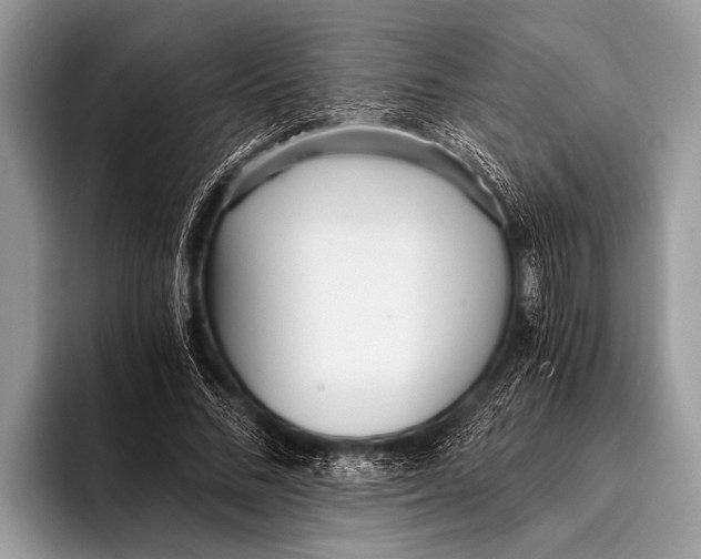 X0000096200684200802081540