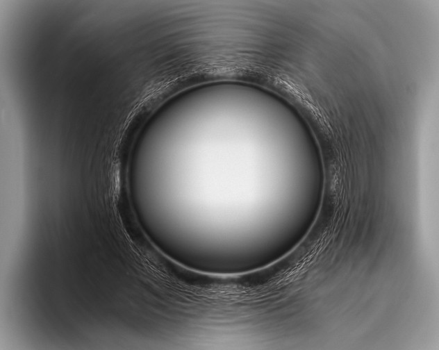 X0000096200685200802081540