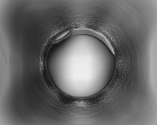 X0000096200688200802081540