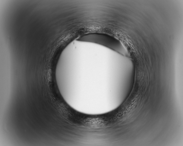 X0000096200689200802081540