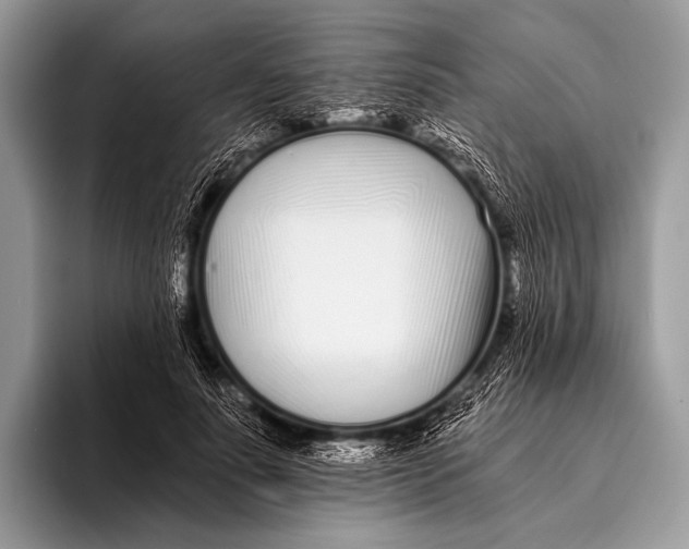 X0000096200691200802081540