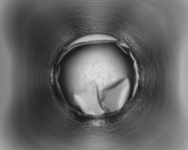 X0000096200696200802081540