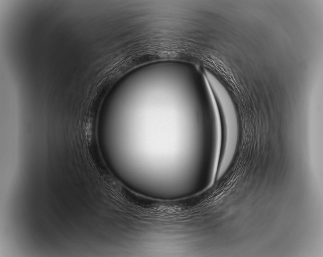 X0000096200697200802081540