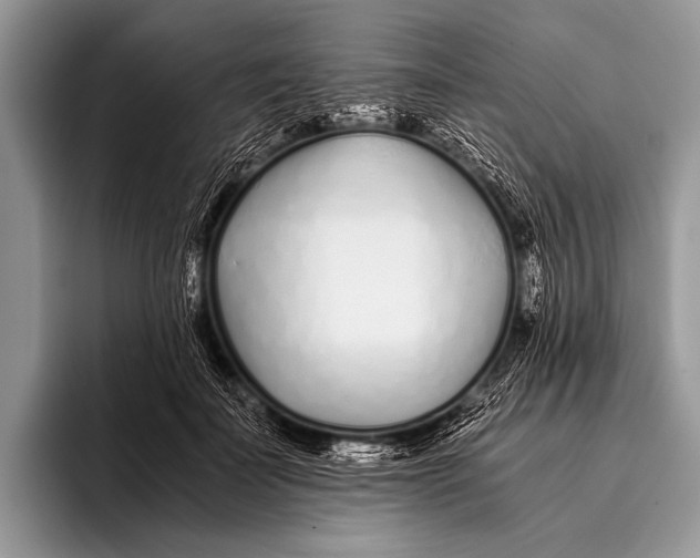 X0000096200699200802081540