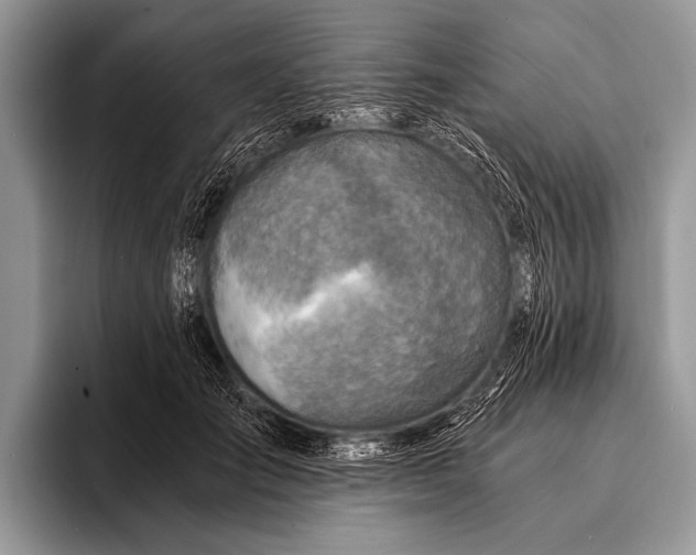 X0000096200701200802081540