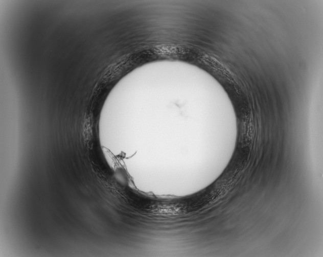 X0000096200702200802081540