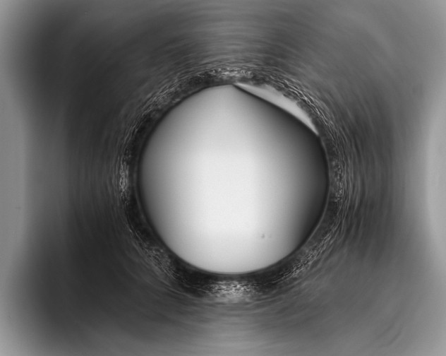 X0000096200704200802081540