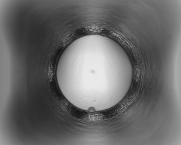 X0000096200707200802081540