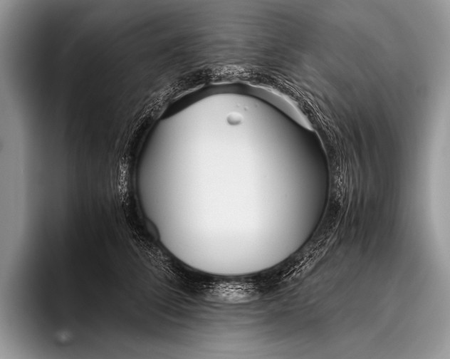 X0000096200708200802081540