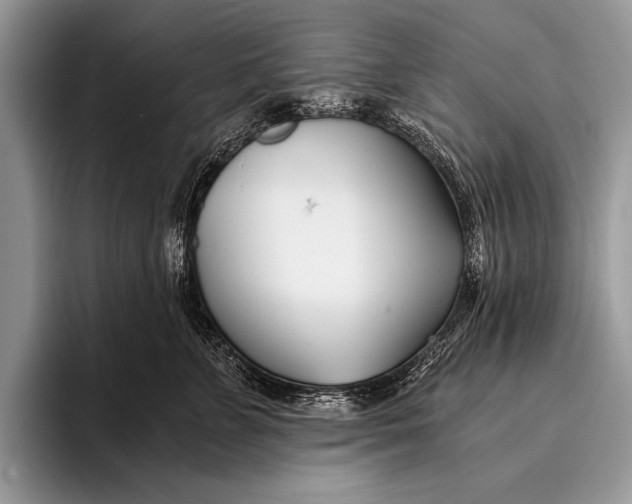 X0000096200715200802081540