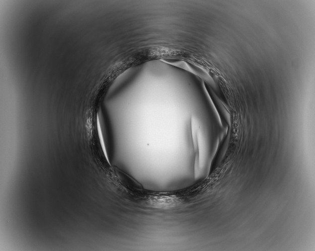 X0000096200716200802081540